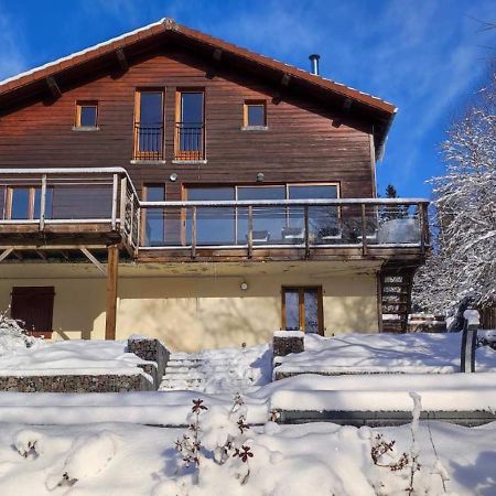 Ban-sur-Meurthe-Clefcy Le Cerf, Chalet Cocooning Avec Piscine Et Billard מראה חיצוני תמונה