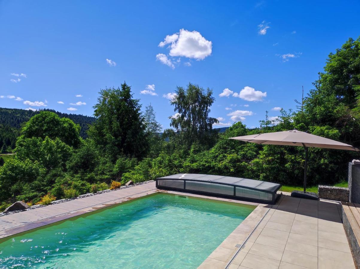 Ban-sur-Meurthe-Clefcy Le Cerf, Chalet Cocooning Avec Piscine Et Billard מראה חיצוני תמונה