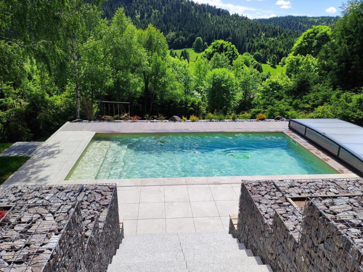 Ban-sur-Meurthe-Clefcy Le Cerf, Chalet Cocooning Avec Piscine Et Billard מראה חיצוני תמונה