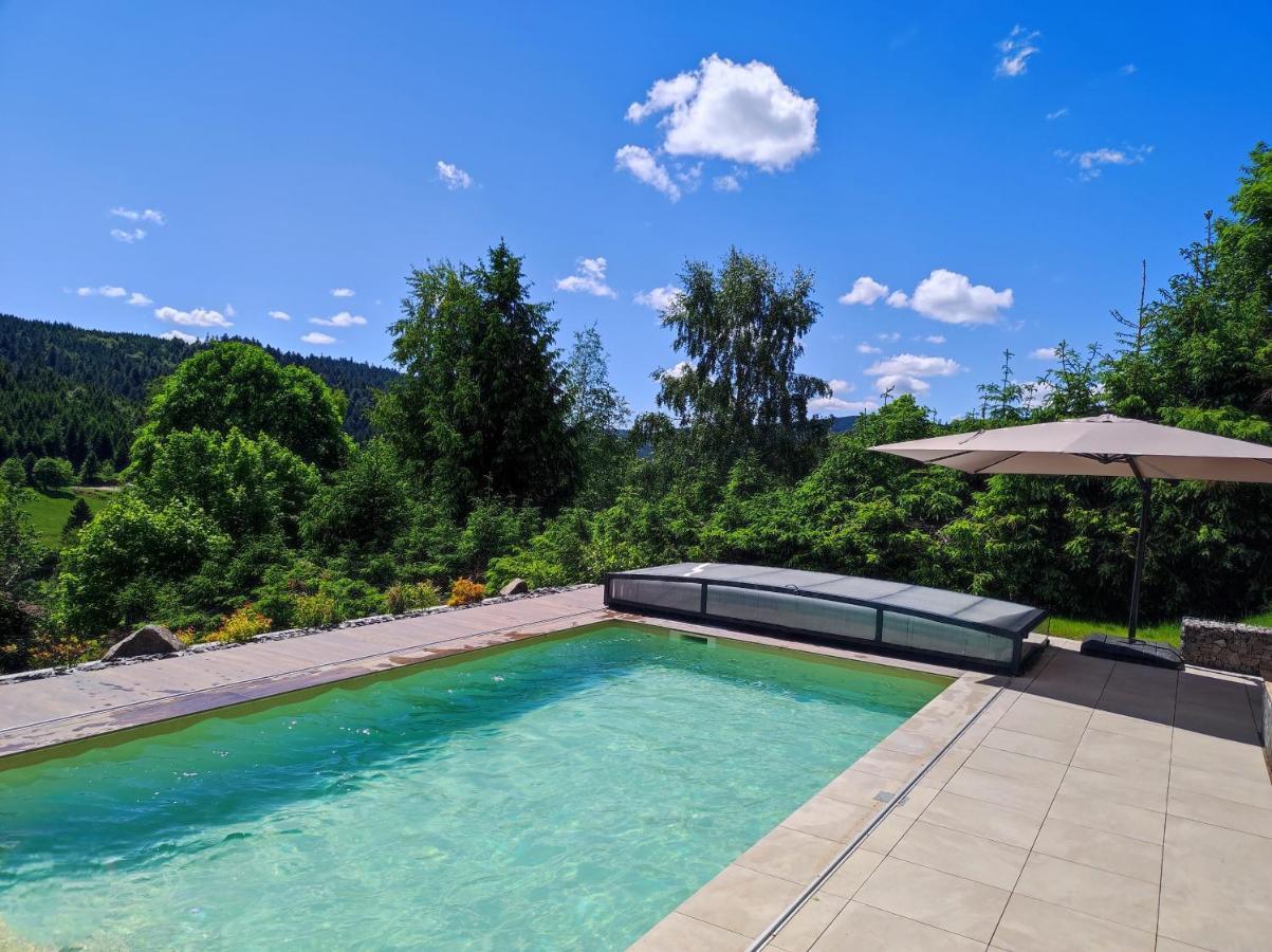 Ban-sur-Meurthe-Clefcy Le Cerf, Chalet Cocooning Avec Piscine Et Billard מראה חיצוני תמונה