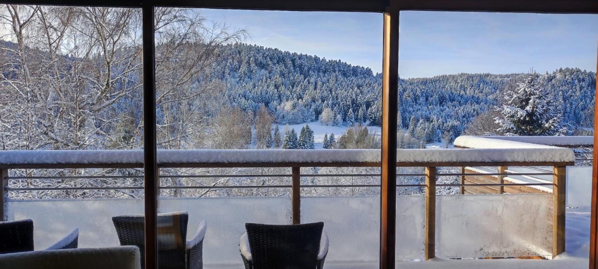 Ban-sur-Meurthe-Clefcy Le Cerf, Chalet Cocooning Avec Piscine Et Billard מראה חיצוני תמונה